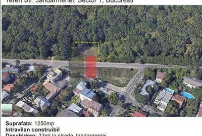 Teren padure Baneasa Jandarmeriei - 2