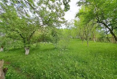 Teren de 1000 mp, în Ghioșești - 2