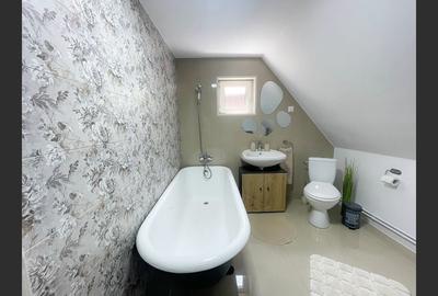 Casa la cheie /vila/pensiune Valiug,Crivaia . - 15