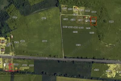 Teren intravilan 540 mp in Livezeni zona panoramica Teren intravilan 540 mp in Livezeni zona panoramica - 1