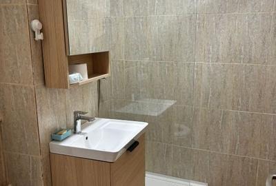 Garsonieră decomandată, mobilată în Baba Novac - 12