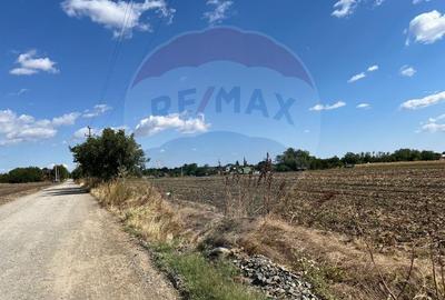 Teren Construcții intravilan de 4000 mp, în Sud-Vest - 2