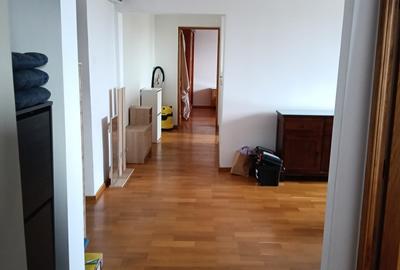 Primul chirias, Vedere superba asupra Parcului Natural Vacaresti - 4