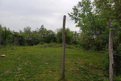 Teren de 1860 mp, în Valea Unghiului - 8