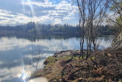 Teren Construcții intravilan de 16331 mp, în Snagov - 2