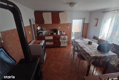 Casă cu 4 camere cu Teren 4977 Mp în Ribița - 12