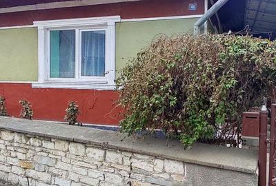 Vand casa cu gradina - 1