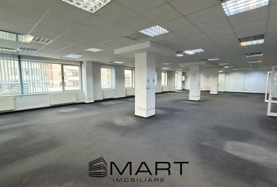 Birou, de 270 mp, în Sub Arini - 2
