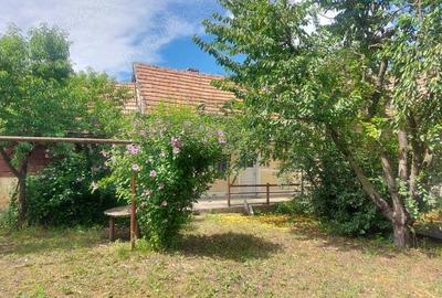 Casă cu 5 camere în Blaj - 2