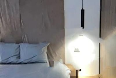 Apartament cu 2 camere semidecomandat, mobilat în Timpuri Noi - 2
