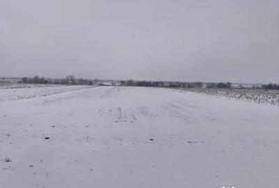 Teren de 6000 mp, în Horodnic - 1