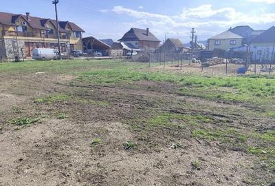 Casă cu Teren 1335 Mp în Săvinești - 9