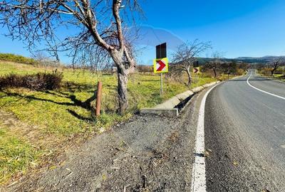 Teren 5,325mp Rona de Jos / Soseaua Prinncipala - 1