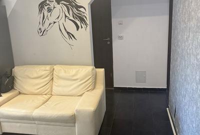 Apartament cu 3 camere în Plopilor - 4