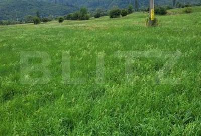 Teren de 2300 mp, în Central - 1