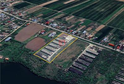 Depozit/hala/spatiu industrial Buftea -Crevedia - Butimanu - 4