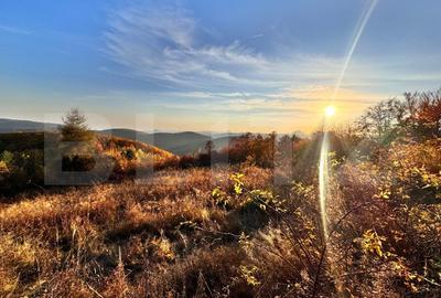 Teren de vanzare - 1