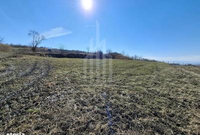 Teren de 439 mp, în Șura Mare - 5