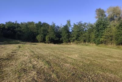 Sat Glodeni, jud. Dambovita - 9