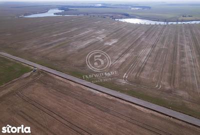 Teren de 17500 mp, în Vasilați - 11