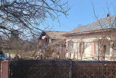 Casă cu 2 camere în Socetu - 4