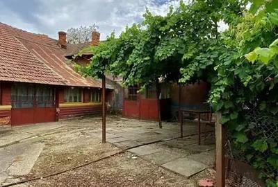 VILĂ  cu 5 camere, pădure , baltă și teren Isvoarele, Giurgiu - 6