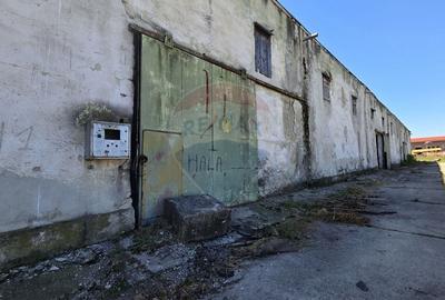 Vanzare hala industriala in Colonia Bod, judet Brasov - 5