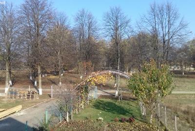 Casă cu 4 camere cu Teren 177 Mp în Mitocu Dragomirnei - 1