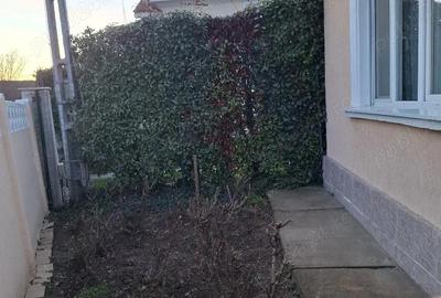 Casă cu 3 camere cu Teren 500 Mp în Central - 4