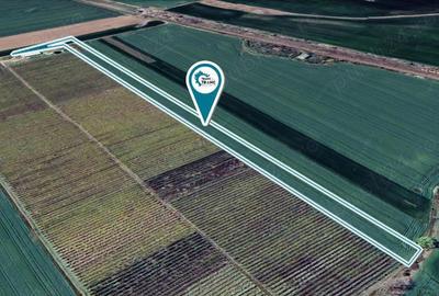 Teren agricol de 1,95 ha in Zimandu Nou - 3