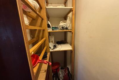 Apartament cu 3 camere decomandat, mobilat în Kiseleff - 12