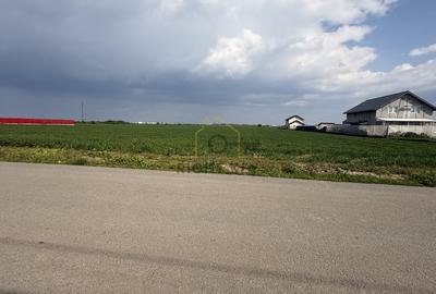 Teren Construcții intravilan de 15000 mp, în Dragomirești-Vale - 1