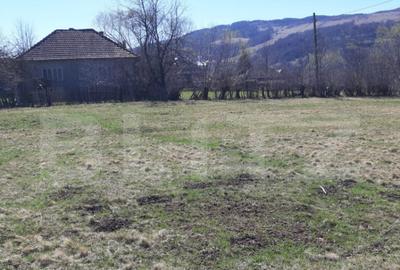 Teren extravilan 1.000 mp Valea Draganului - 1