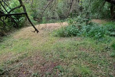 De vanzare casa batraneasca cu teren generos in Poiana Golului Re?i?a De vanzare casa batraneasca cu teren generos in Poiana Golului Re?i?a - 4