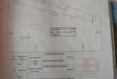 Teren de 20000 mp, în Șimian - 1