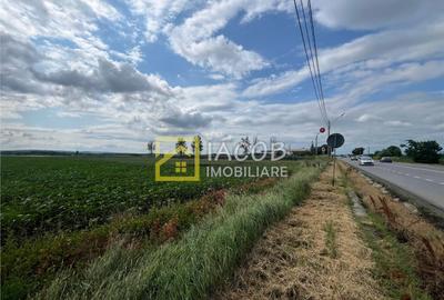 Teren intravilan, 8333 mp, la E85, comuna Secuienii Noi, jud - 3