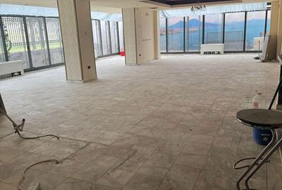 Spatiu comercial ,restaurant,cos de evacuare,etc - 1