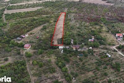 Teren de 2746 mp, în Girișu de Criș - 6