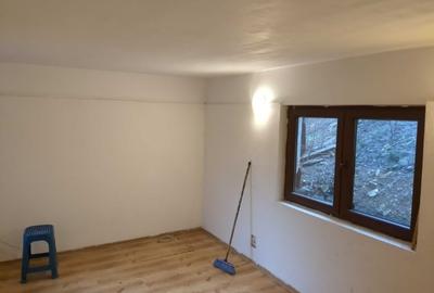 Colentina Parcul Plumbuita, Sector 2 București. - 1