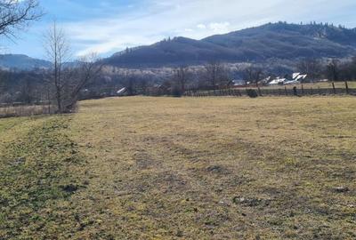 Teren de 6710 mp, în Stejaru (Pângărați) - 6