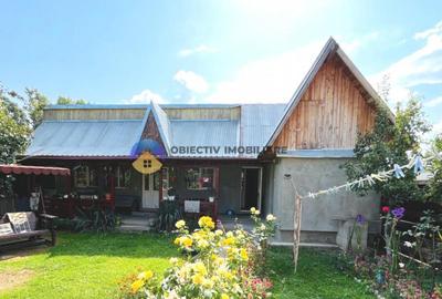 CASA + HALA comuna ALEXANDRU cel BUN - 12