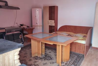 Garsonieră nedecomandată în Șagului - 2