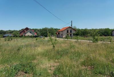 Teren Construcții intravilan de 1250 mp, în Ciofliceni - 9