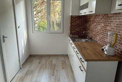 Apartament cu 2 camere semidecomandat în Sud-Vest - 10