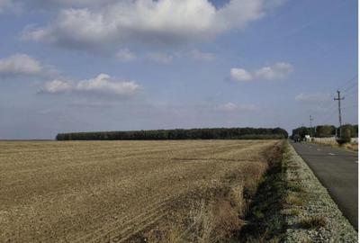 Teren extravilan Varvoru de Jos, jud Dolj - 1