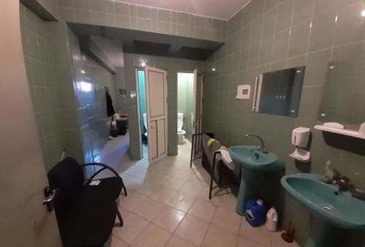 Birouri, hala si teren situate la sosea, zona Magurele, sector 5 - 14