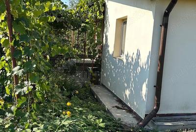 Casă cu 2 camere în Valea - 7