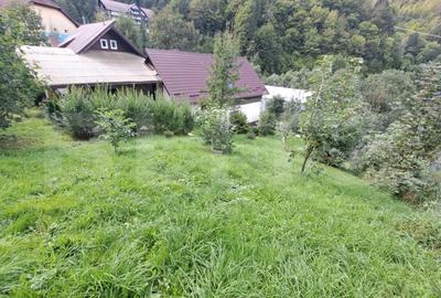 Casa in Moieciu,sat Cheia - 3