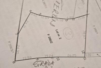 Spațiu comercial, în Cărpiniș - 4