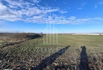 Spațiu comercial, în Cristian - 2